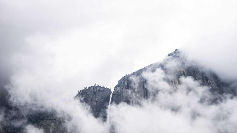111566免费视频网站核心团队合影